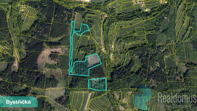 Prodej, les, Bystřička II, LV 1062, 4/10, okres Vsetín