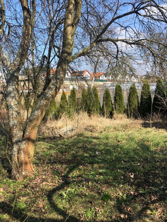 Pronajmu zahradu 800 m2 v Senci u Plzně, 150m od MHD, okres Plzeň-sever