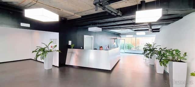 NEPLATÍTE PROVIZI Pronájem kanceláře 193 m² Praha 8 Karlín, Praha 8