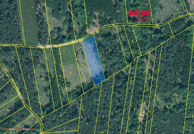 Prodej lesa, 5033 m², Jetětice, okres Písek
