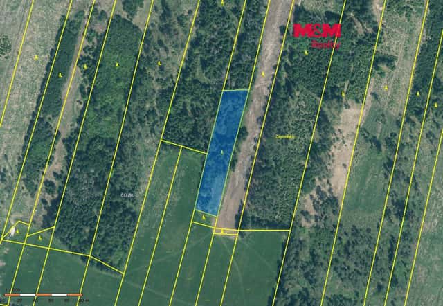 Prodej lesa, 4993 m², Jetětice, okres Písek