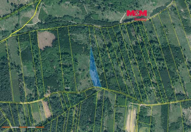 Prodej lesa, 7736 m², Jetětice, okres Písek