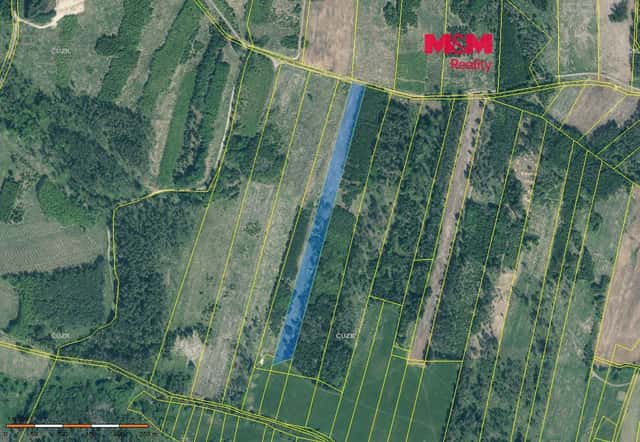 Prodej lesa, 13685 m², Jetětice, okres Písek