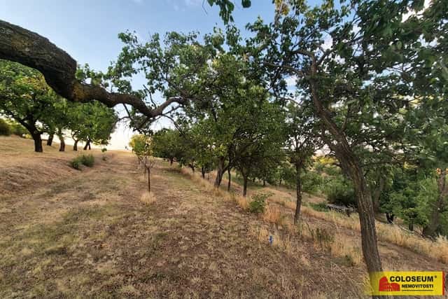Svatobořice - Mistřín, prodej pozemku 872 m2 – pozemek, okres Hodonín