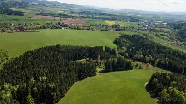 Prodej lesa 20336 m² – Heřmánkovice, okres Náchod