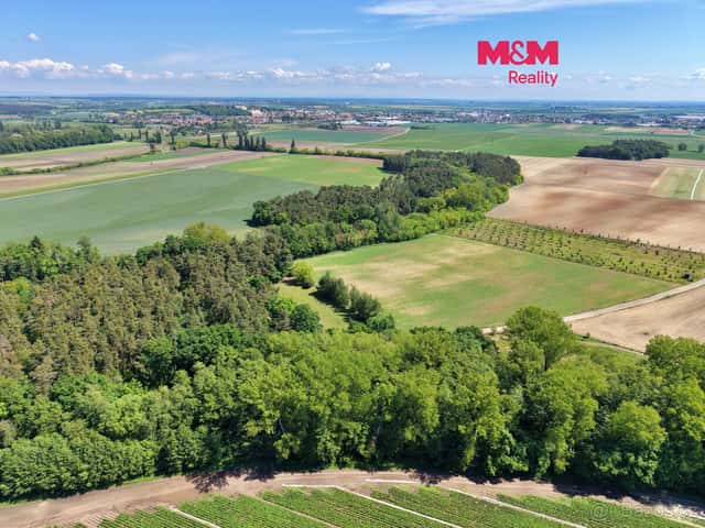 Prodej lesa, 5227 m², Lysá nad Labem, okres Nymburk