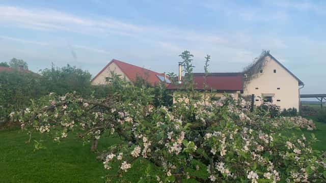 Bydlení,rekreace,chov koní+ objekt na pronájem pro turisty, okres Jindřichův Hradec