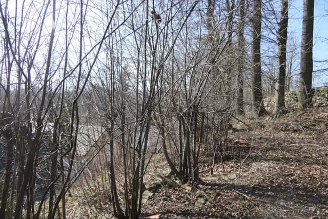Raspenava 650, okres Liberec