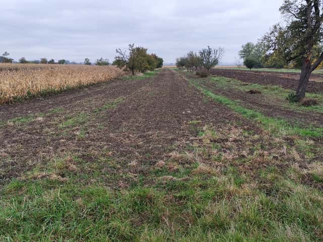 Zahrada 1564 m2, Opatovice u Rajhradu, Brno venkov, okres Brno-venkov