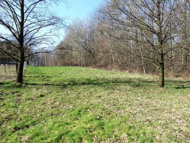 Pozemek 6013 m², kousek od Karviné, okres Karviná