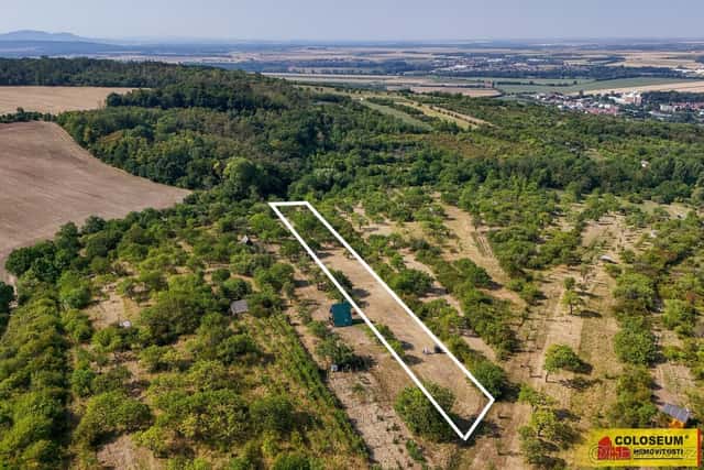 Židlochovice, prodej pozemku 4 149 m2, ovocné stromy – pozem, Brno venkov, okres Brno-venkov