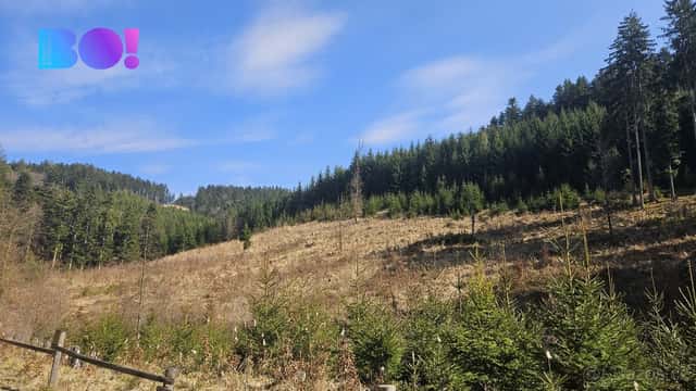 Prodej lesa, 58 310 m², Jasenná, okres Zlín