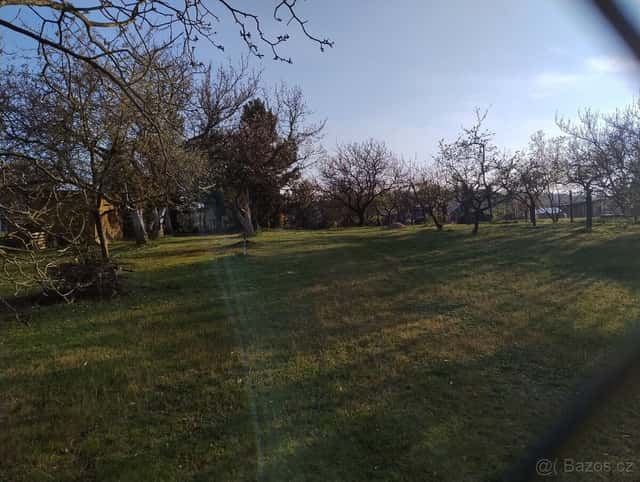 Pronájem zahrady v Popůvkách, okres Brno-město