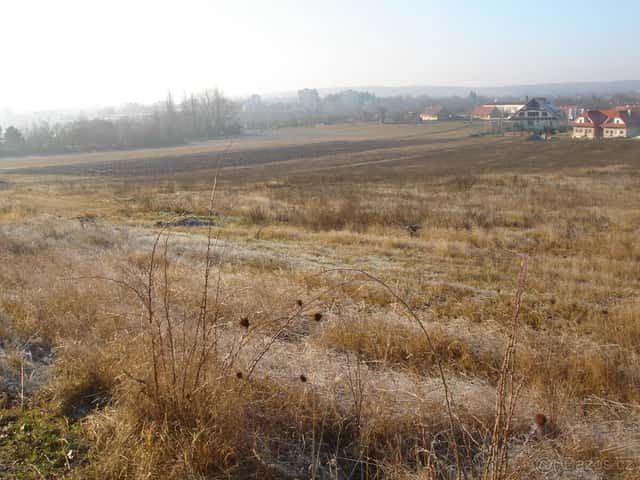 Pronájem zemědělské půdy Znojmo - Přímětice, okres Znojmo