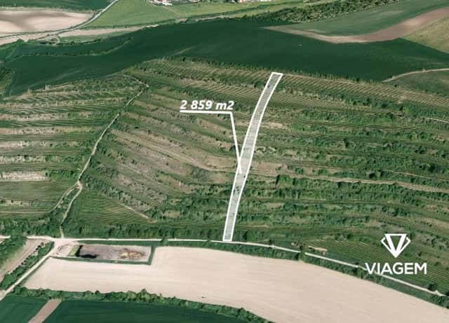 Pole 2 859 m², okres Břeclav