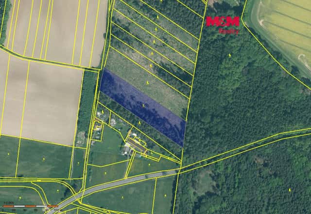 Prodej lesa, 7675 m², Stehlovice, okres Písek