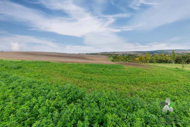Prodej, orná půda 5175 m2, Šlapanice u Brna, Brno venkov, okres Brno-venkov
