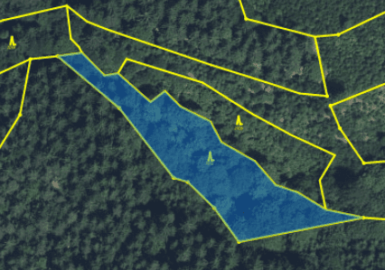 Lesní pozemek Vlastiboř u Žel. Brodu 442 m2, okres Jablonec nad Nisou