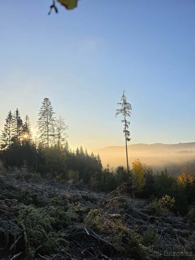 Lesní pozemek, okres Vsetín