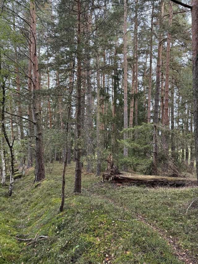 Prodej pozemků k.ú. Mohuřice, okres České Budějovice