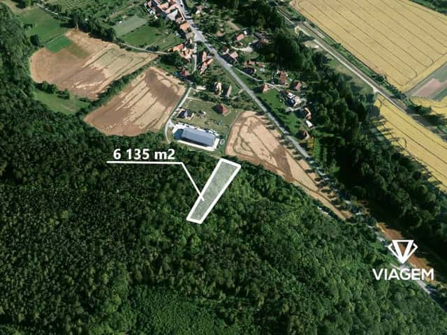 Les 6 135 m², Brno venkov, okres Brno-venkov
