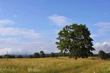 Zemědělské pozemky, okres Liberec