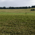 Prodej stavebního pozemku 2.589m² - Malšín, okres Český Krumlov