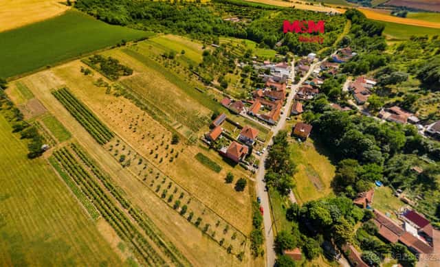 Prodej pozemku k bydlení, 7835 m², Borkovany, okres Břeclav