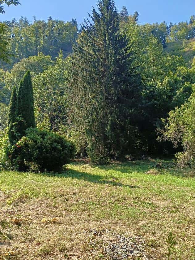 Zahrada Bílovice nad Svitavou, Brno venkov, okres Brno-venkov