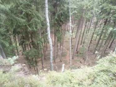 Držovice na Moravě - prodej lesa, okres Prostějov