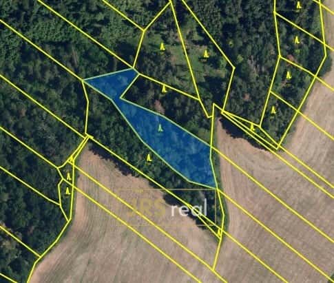 Prodej lesa 2 416 m², Březina u Tišnova, ev.č. 130119MT, Brno venkov, okres Brno-venkov