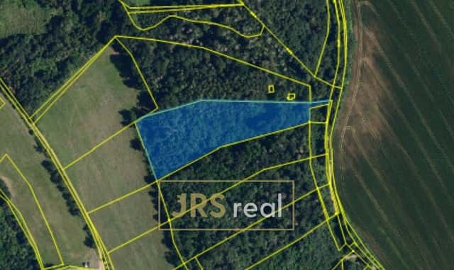 Prodej lesa 7 323 m², Březina u Tišnova, ev.č. 130118MT, Brno venkov, okres Brno-venkov