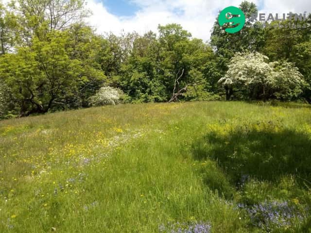 Prodej zahrady 679 m² - Krňany, okres Benešov