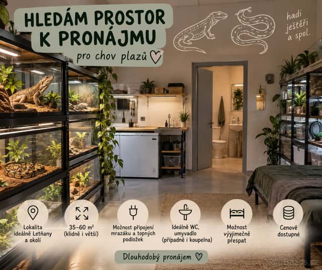 Poptávka prostor pro chov hadů, Praha 9