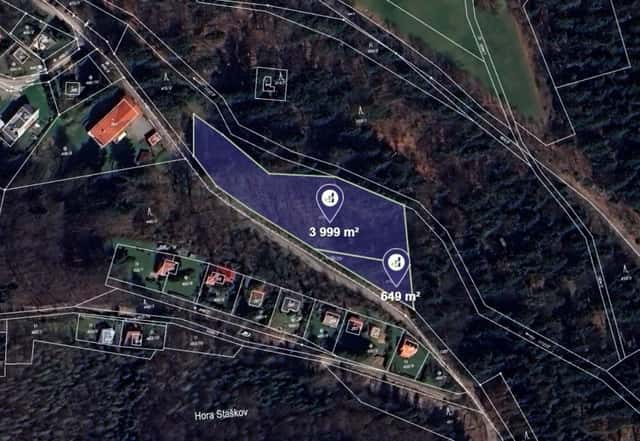 Prodej lesa v k.ú. Malenovice, ev.č. 2026-01-20-100319, okres Frýdek-Místek