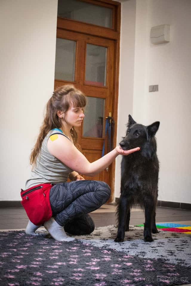 Bydlení se zvířaty Křivoklátsko, okres Rakovník