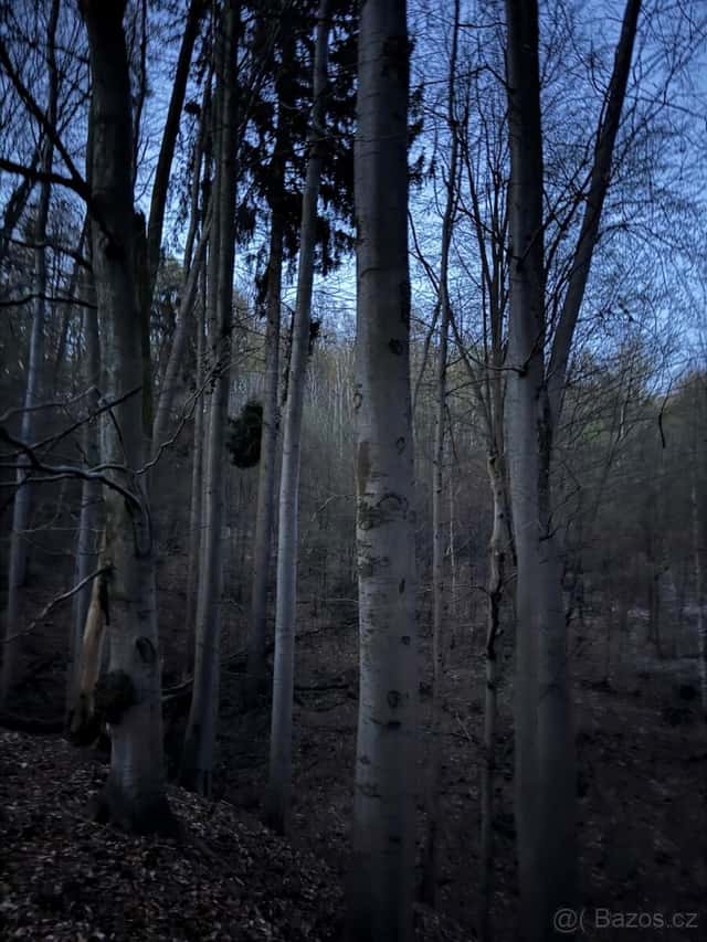 Prodej pozemků k.ú. Bludov, okres Šumperk