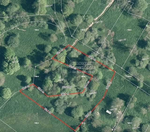 Prodej stavebního pozemku 4929 m2, Nová Ves, okres Sokolov, okres Karlovy Vary