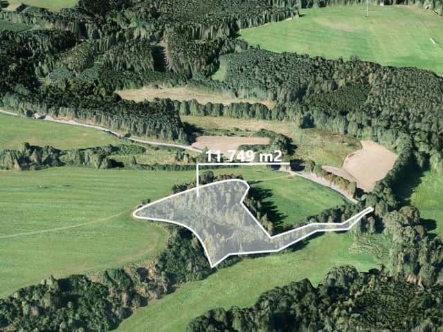 Les 11 749 m², okres Tachov