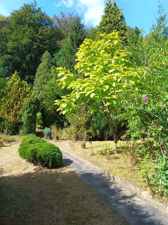 Prodám zahradu 950 m2, Kamenická ul. Děčín, okres Děčín