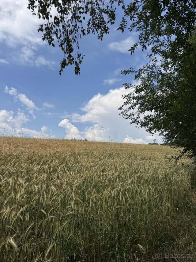 Prodej pozemku k.ú. Jedlí (1), okres Šumperk