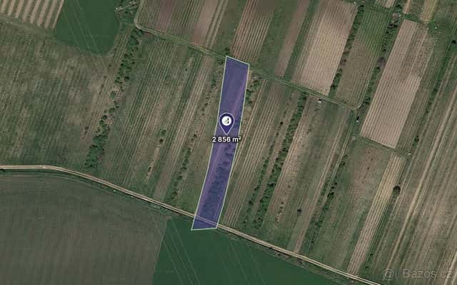 Prodej pole v k.ú. Brumovice, ev.č. 2026-07-29-083238, okres Břeclav