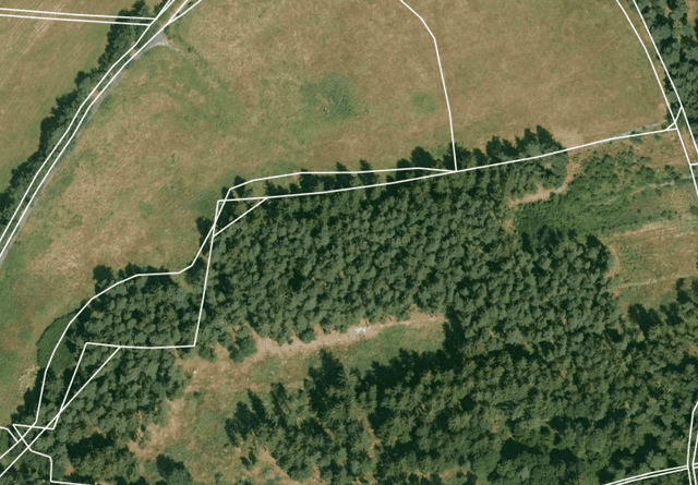 Lesní pozemek Otín u Plané - 796m2, okres Tachov