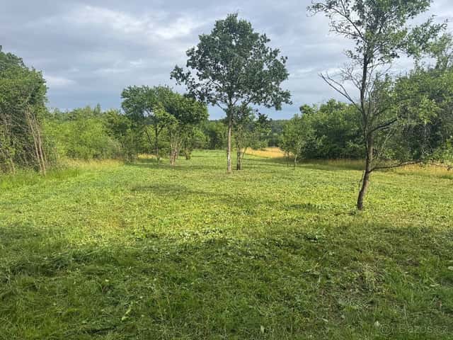 Pronájem zahrady Chlumec nad Cidlinou, okres Hradec Králové