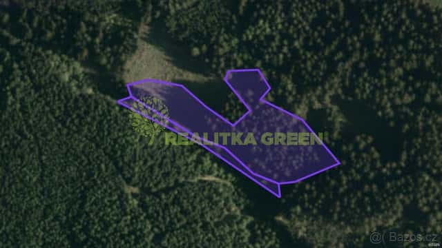 Prodej lesních pozemků, k.ú. Hovězí, okr. Vsetín, CP 9912 m2, okres Vsetín
