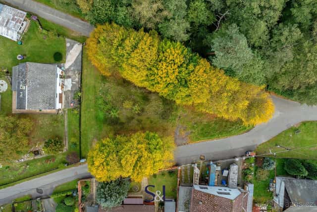 Prodej stavebního pozemku 860 m², Sosnová, ev.č. 01915, okres Česká Lípa