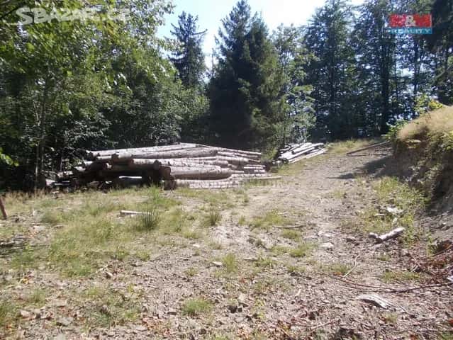 Chata Pstruzi (Celadna) + pozemek 4000m2, okres Frýdek-Místek