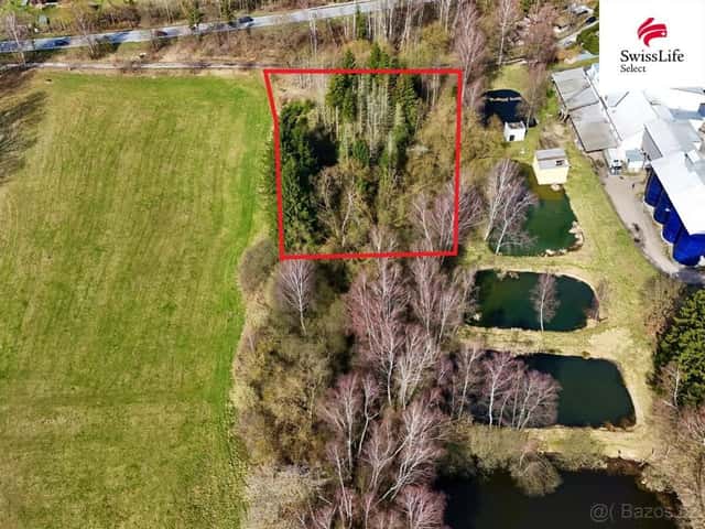 Prodej lesa 4442 m2, Rodvínov, okres Jindřichův Hradec