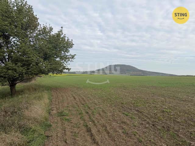 Prodej ovocného sadu a travního porostu 10 074m2, 137040, okres Litoměřice