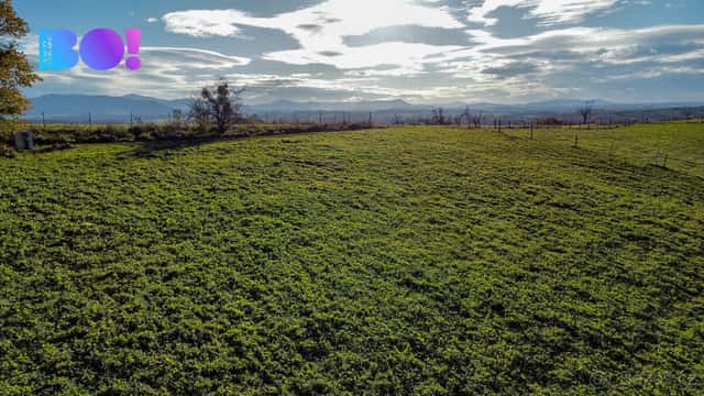 Prodej pozemku 4 357 m², Těrlicko, okres Karviná
